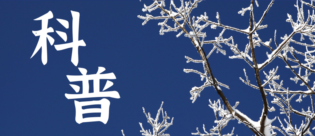 科普 | 冬季雨雪天氣?；愤\輸車輛注意事項