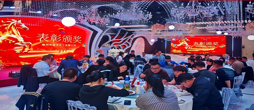 騏驥開道，奮進(jìn)新篇 | 海龍化工2025年終工作總結(jié)表彰暨團(tuán)年晚宴圓滿落幕